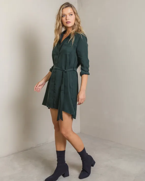 Vertiere Kasey Shirt Dress